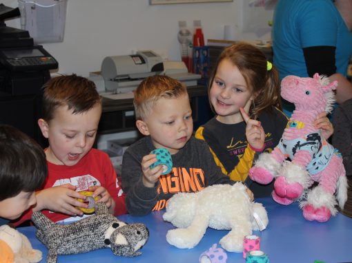Dierenarts groep 1/2