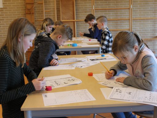 Kangoeroewedstrijd 2018