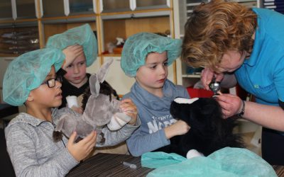 Knuffelonderzoek