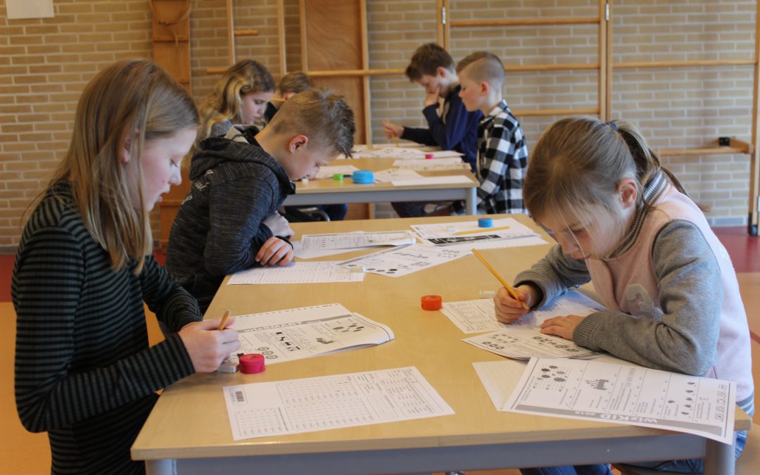 Kangoeroewedstrijd 2018
