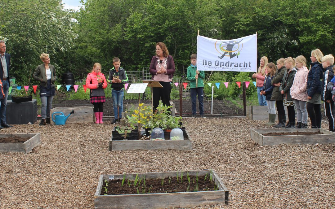 Het moestuinieren is weer begonnen!